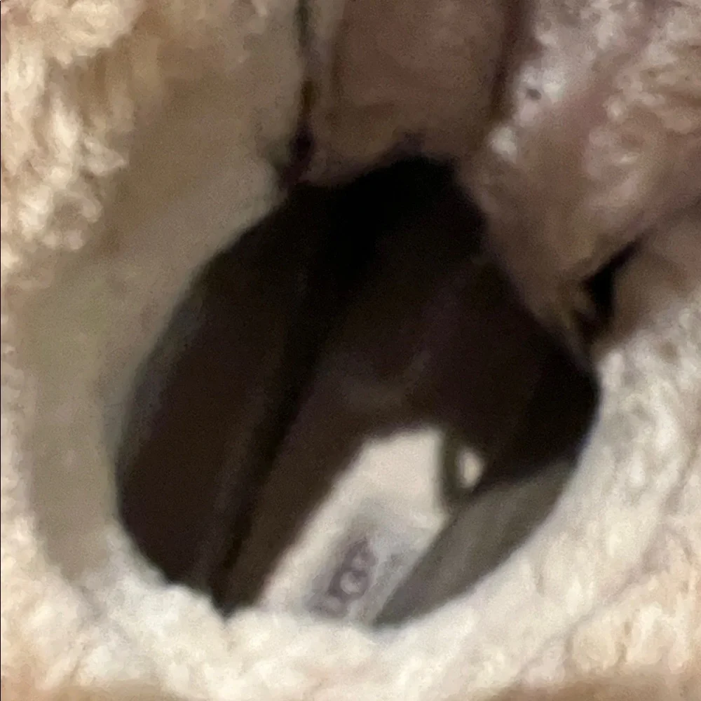 UGG Men’s Butte Shearling Winter Boots in Chestnut Sz 14